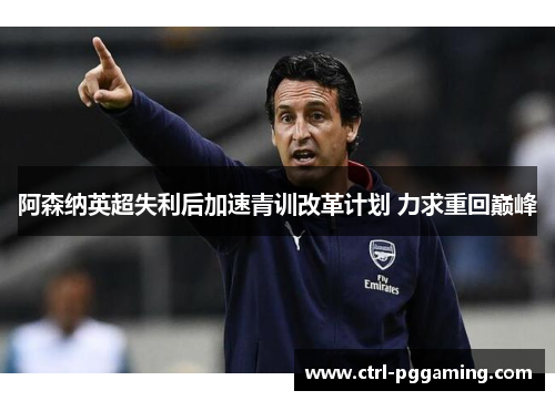 阿森纳英超失利后加速青训改革计划 力求重回巅峰