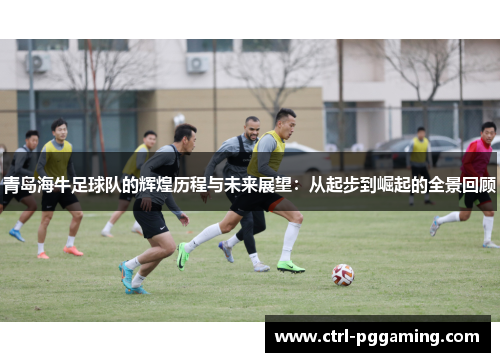 青岛海牛足球队的辉煌历程与未来展望：从起步到崛起的全景回顾