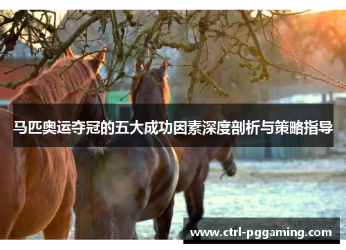 马匹奥运夺冠的五大成功因素深度剖析与策略指导