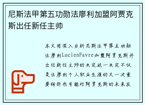 尼斯法甲第五功勋法廖利加盟阿贾克斯出任新任主帅 尼斯法甲第五功勋法廖利加盟阿贾克斯出任新任主帅