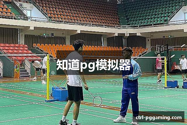 知道pg模拟器